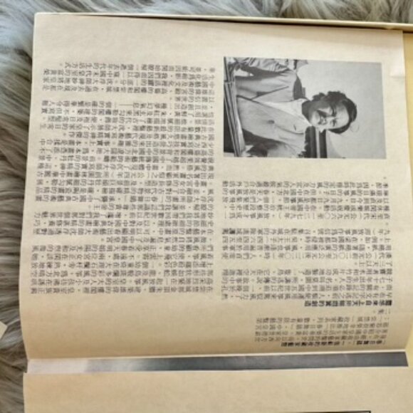 Flying Kites on a Spring Day Porcelain Collector Plate by Sheng Fu - Picture 10 of 10